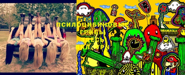 таблы Ладушкин