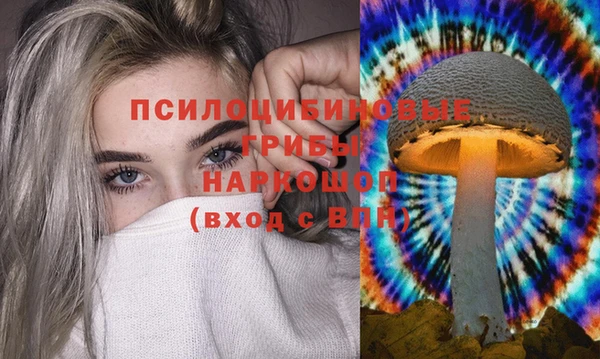 таблы Ладушкин