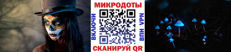 Купить  Ардон  Псилоцибиновые грибы Psilocybe 